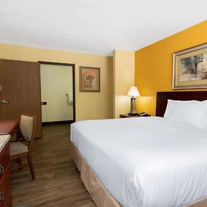 King Room Mobility accessible